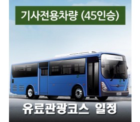 45인승차량 + 전용기사 - 유료관광코스 일정